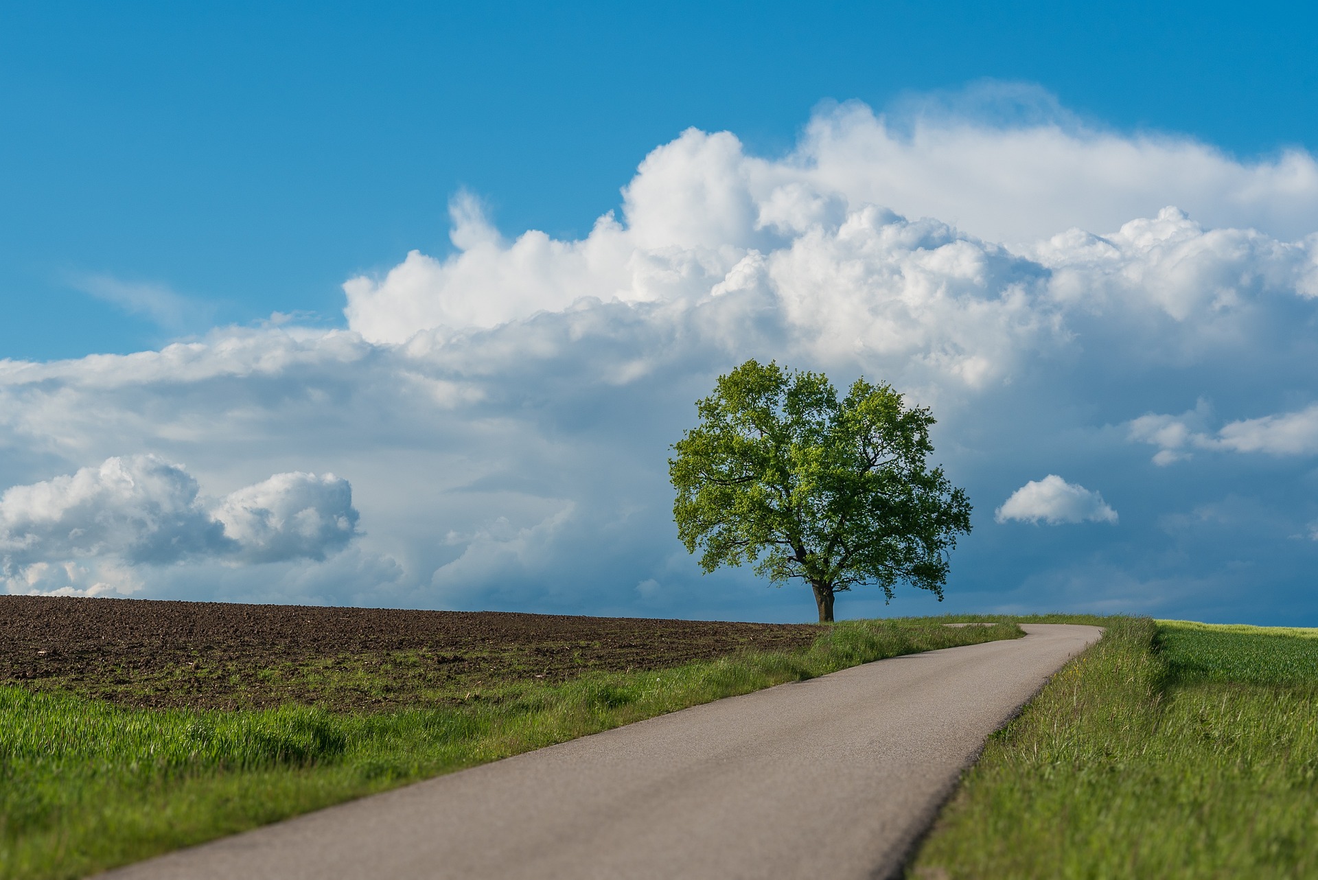 Country road with one tree at the side of the road